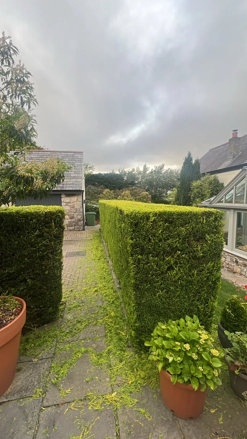 Garden tree work