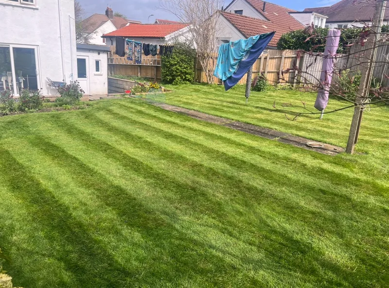 Lawn care