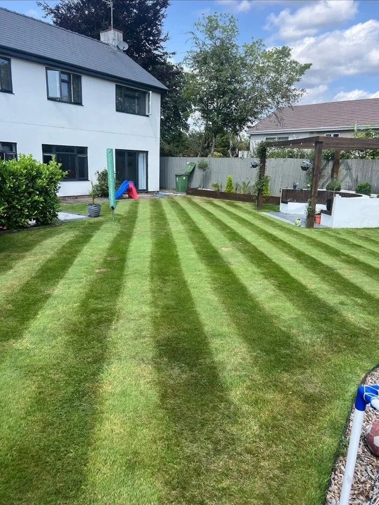 Grass cutting