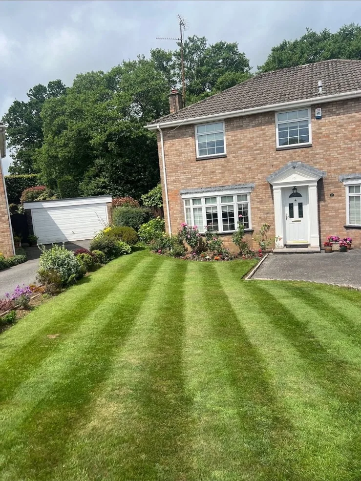 Garden lawn