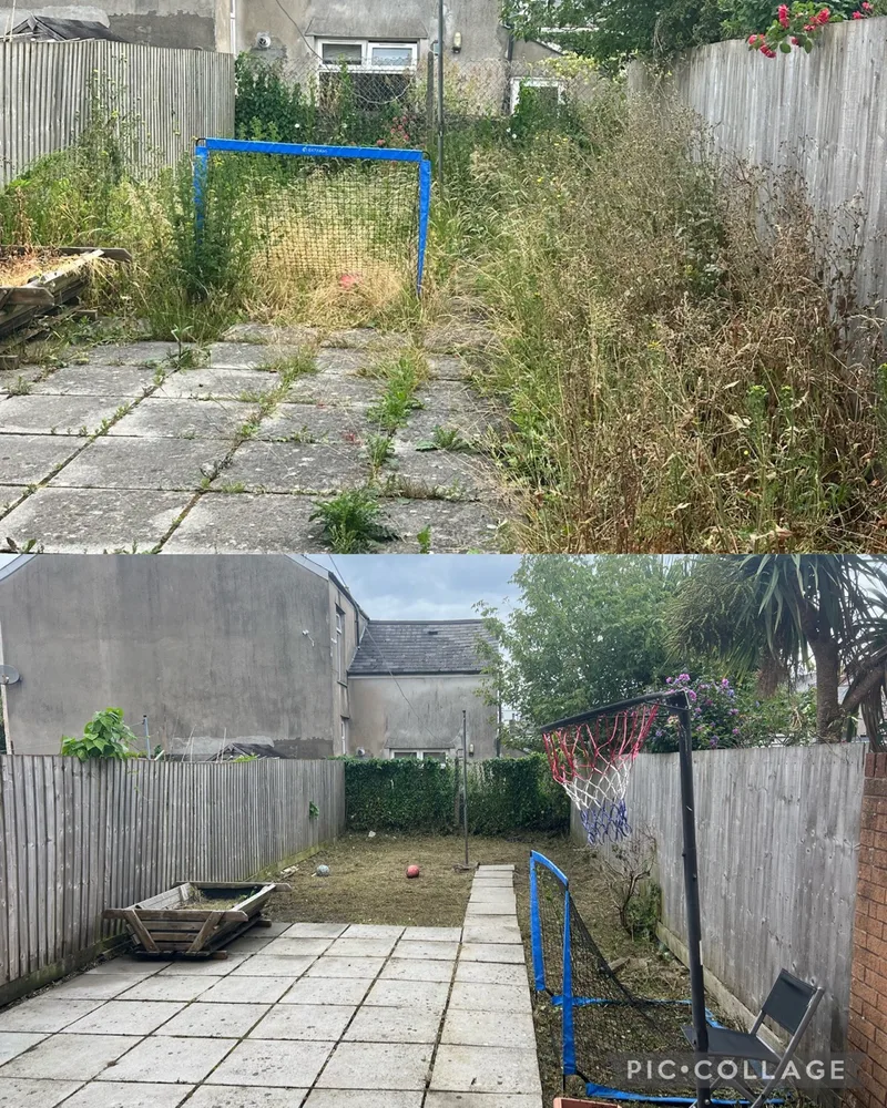 Overgrown plot