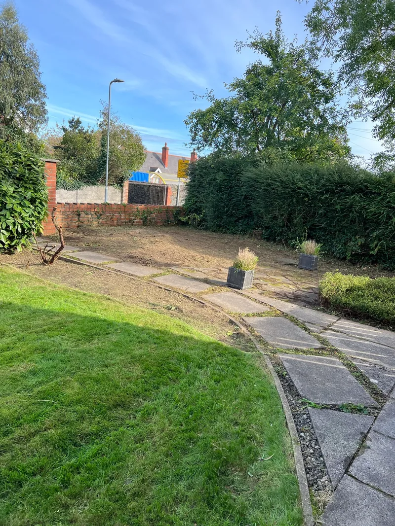 Overgrown clearance