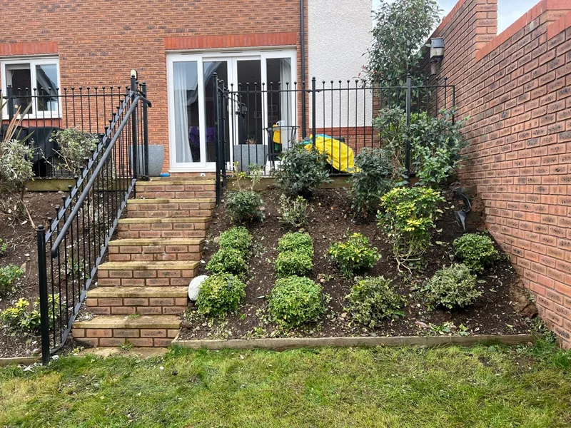 Jungle clearance
